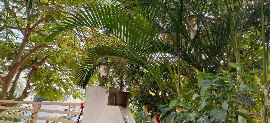 SAANVI HOMESTAY