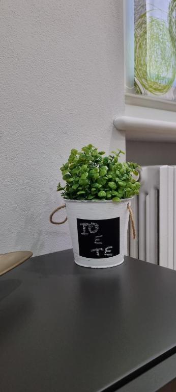 Kép IO E TE bed and breakfast Appartamento szállásáról Cuneóban a galériában