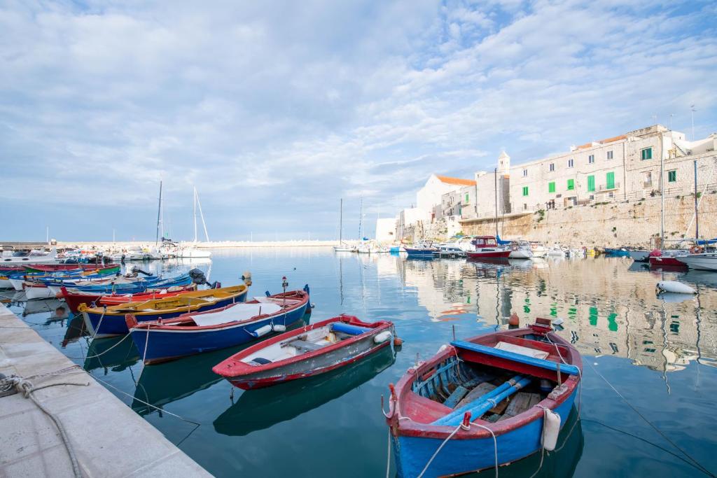 grupa łodzi zakotwiczona w porcie w obiekcie Sea front historic house in the heart of old town, inside torrione aragonese w mieście Giovinazzo
