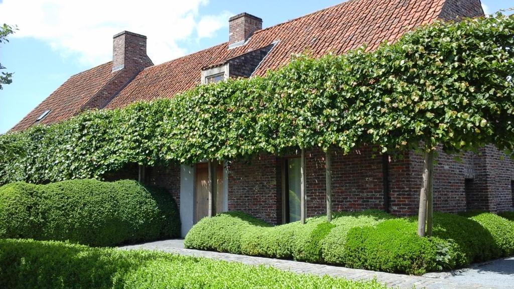Zahrada ubytování B&B De Hulst