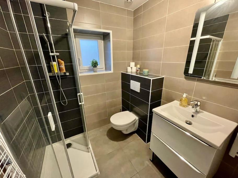 uma casa de banho com um WC, um lavatório e um chuveiro em Appartement le Rhôn'ain - Vue Rhône - Lit Queen size em Bellegarde-sur-Valserine