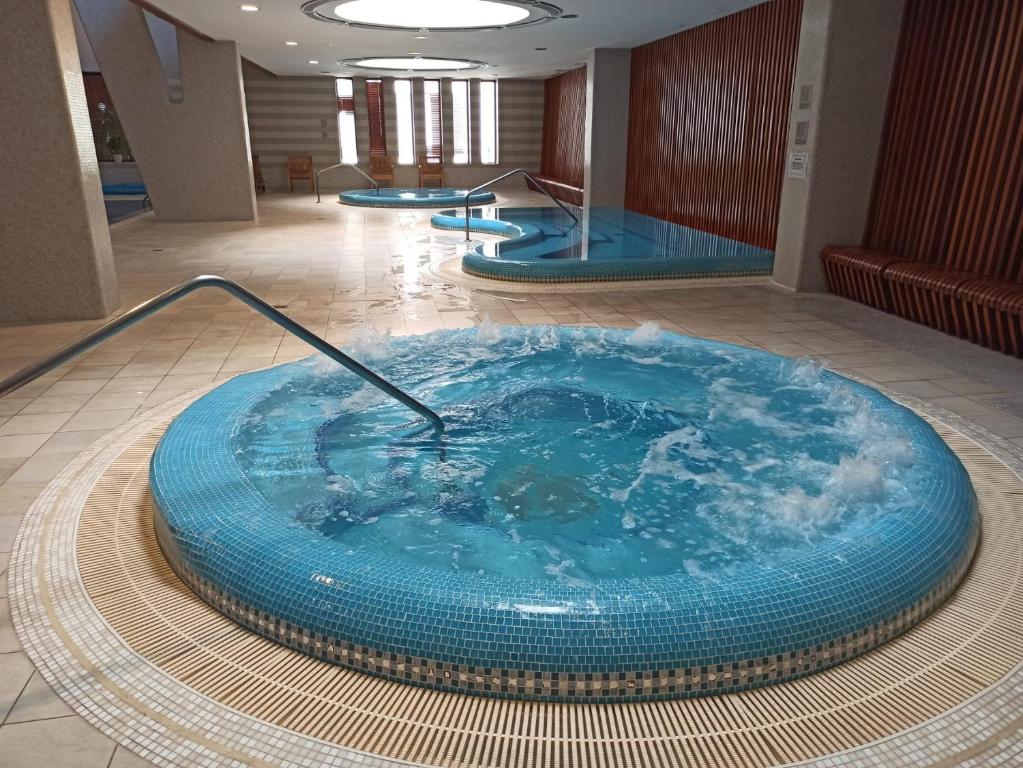 Bazén v ubytování Luxury Apartment DunaPest with Spa and Pool nebo v jeho okolí