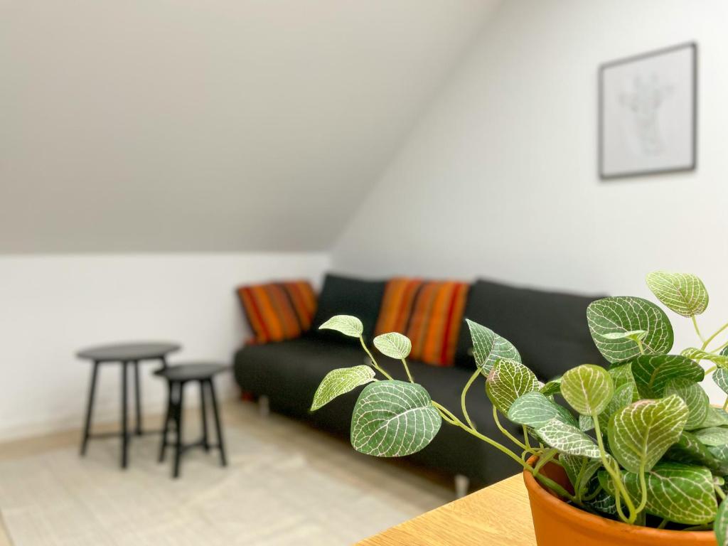 Ferienwohnung Schönes Maifeld - Apartment With Balcony