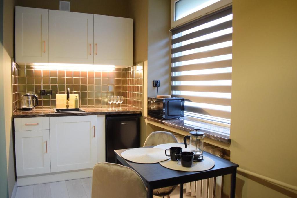 Apartament KARINA Centrum Lublin - 13