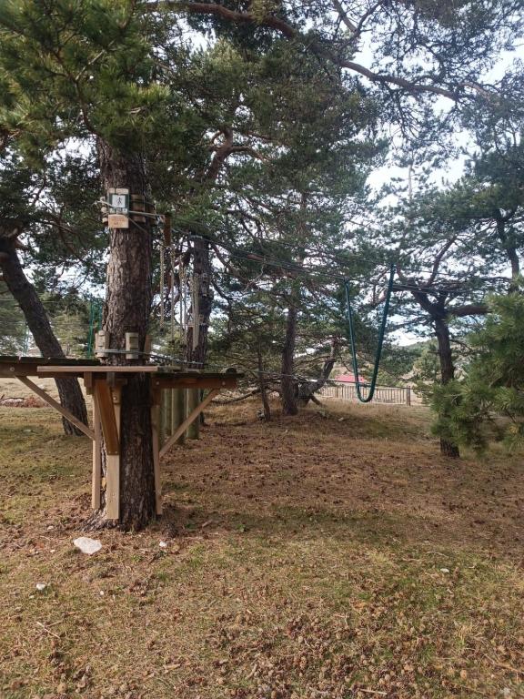 Zdjęcie z galerii obiektu Un petit coin de paradis beau 2 pièces w mieście Gréolières