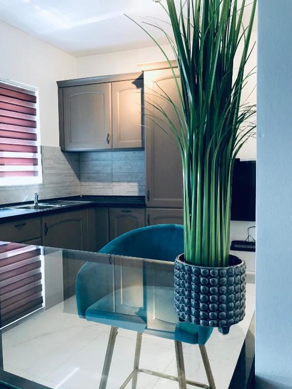Kuchyň nebo kuchyňský kout v ubytování Zenith Apartment A20