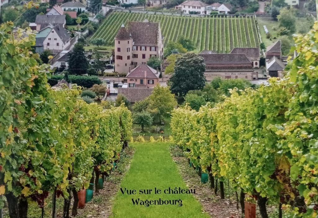 Zahrada ubytování Un petit coin d’Alsace