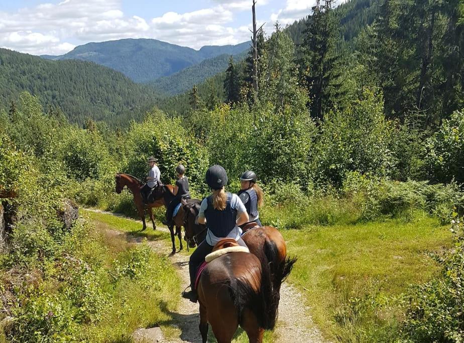 un groupe de personnes à cheval sur un chemin de terre dans l'établissement River Run Ranch - Telemark, à Drangedal