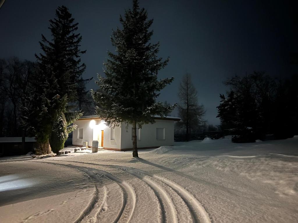 Una casa con un árbol en la nieve por la noche en Fengrande en Karpacz