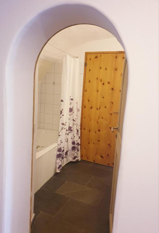 a bathroom with a shower and a wooden door at Palazzo Mysanus Samedan in Samedan