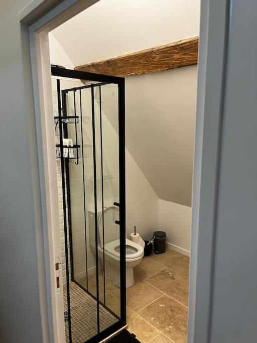 a bathroom with a toilet in a room at Gîte des 3 Marchands in Buzançais