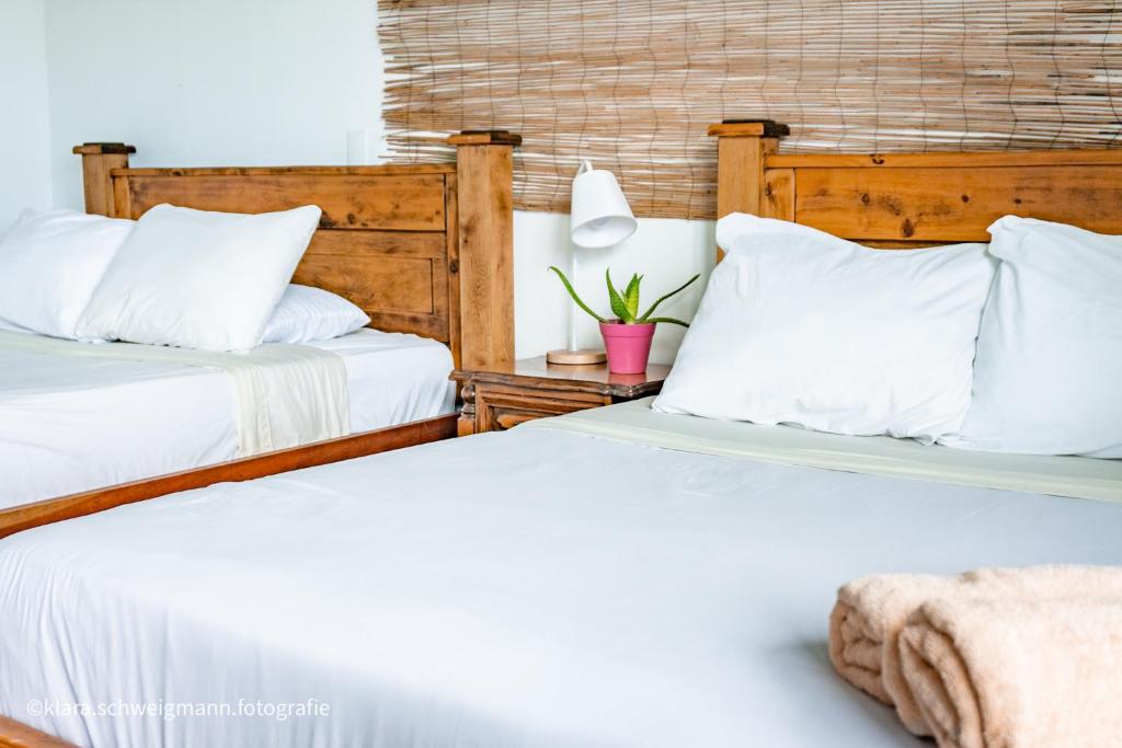 Duas camas sentadas uma ao lado da outra num quarto em Lost in San Jose Hotel & Hostel em San José