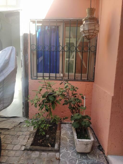 una puerta con dos macetas delante de un edificio en Cómodo break and breakfast en Godoy Cruz, Mendoza en Godoy Cruz