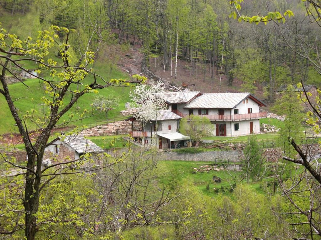 a house in the middle of a field at Residence Joy Center in Villar Pellice