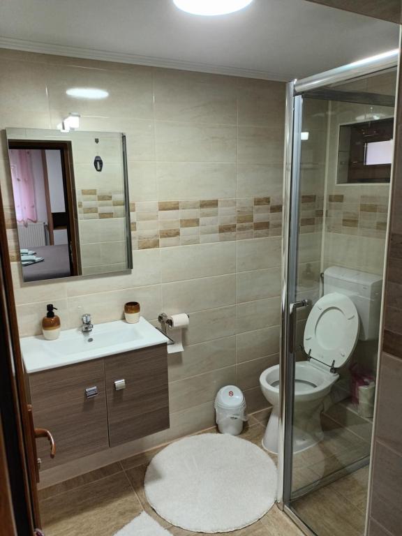 Koupelna v ubytování Casa Alex