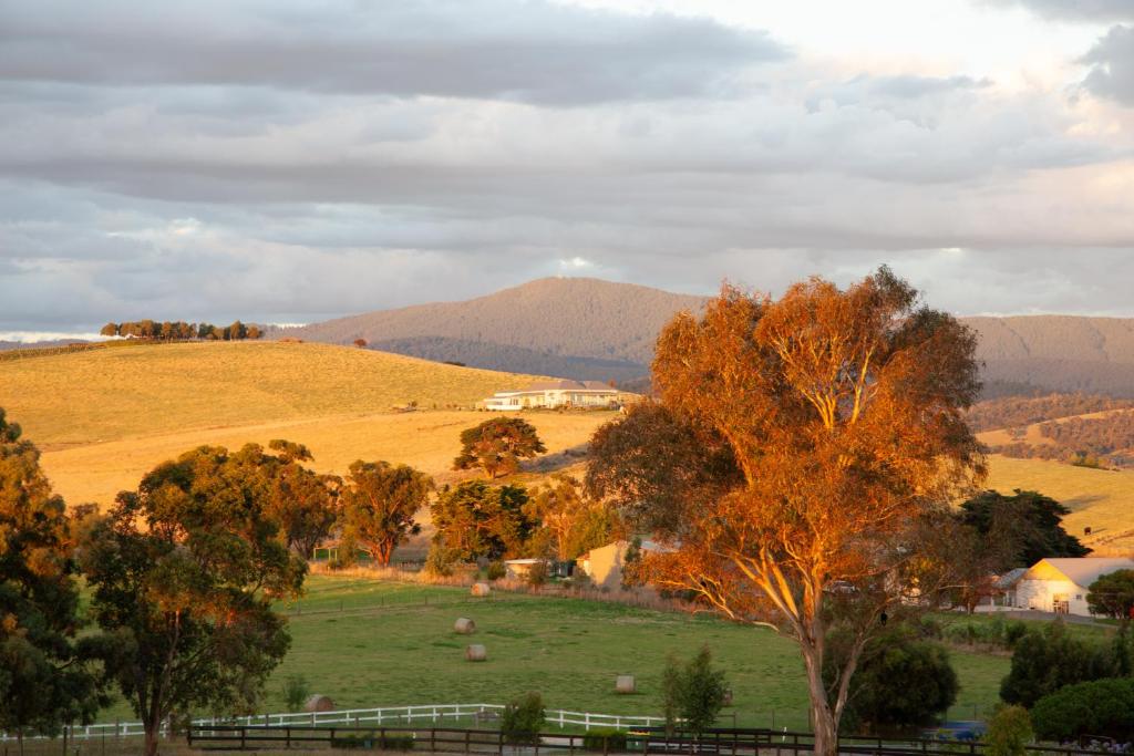 Rose Cottage Yarra Glen - Casa De Una Habitación