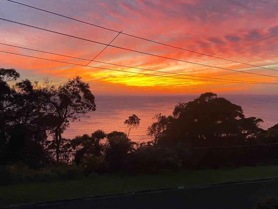 a sunset over the ocean with trees and power lines at ELEGANT LUXURY, STUNNING SEA VIEWS-see whales pass in Avoca Beach