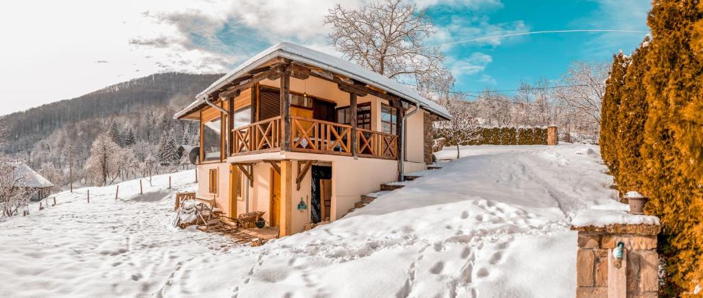 Apartmani Lunija