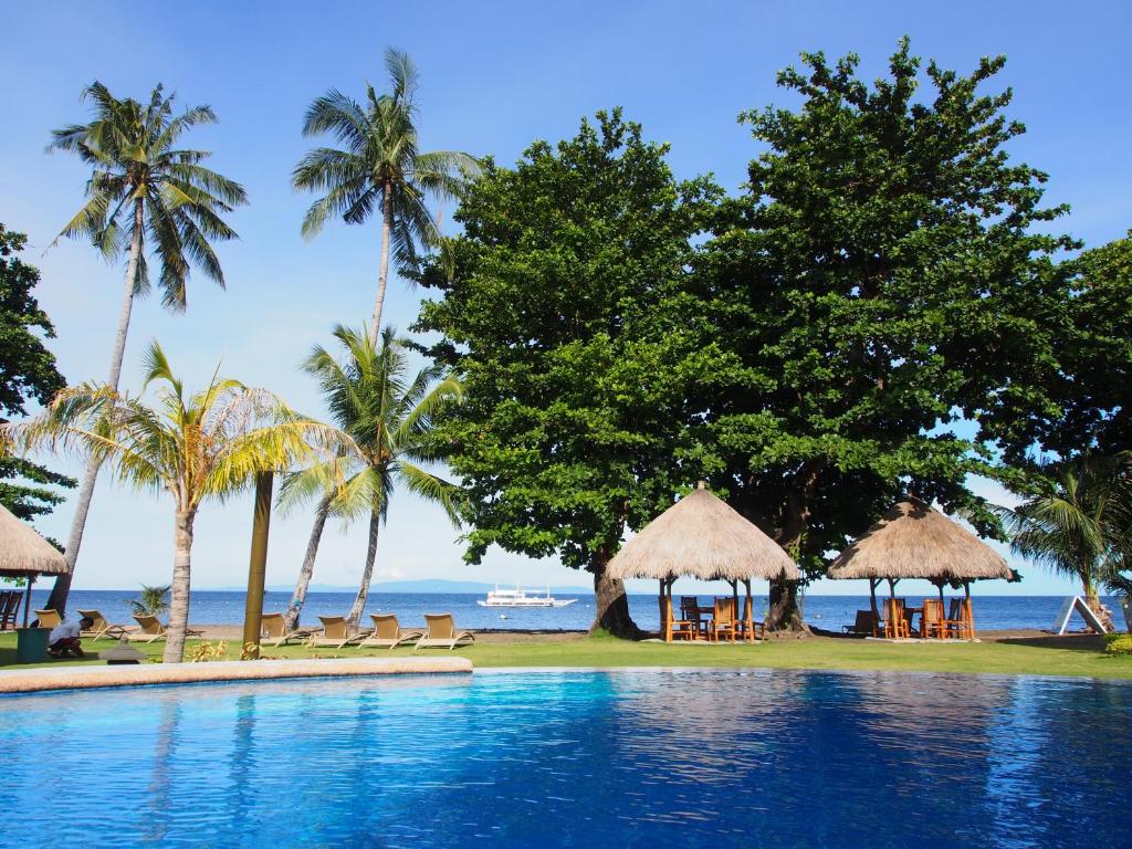einen Pool neben einem Strand mit Palmen in der Unterkunft Pura Vida Beach & Dive Resort in Dauin