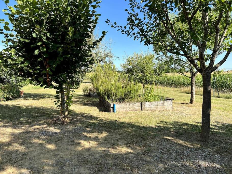Zdjęcie z galerii obiektu La petite lande w mieście Bourgougnague