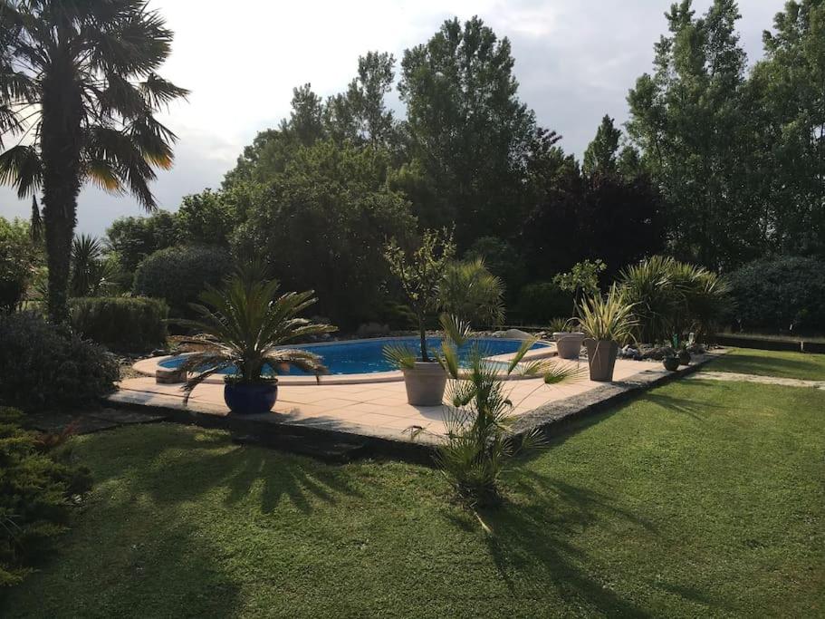 un jardín con piscina y palmeras en Logement indépendant très calme dans propriété en Saint-Loubès