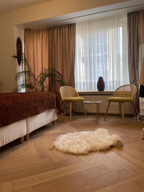 1 dormitorio con cama y alfombra blanca en el suelo en Logies Windsor One Room, en Ostende