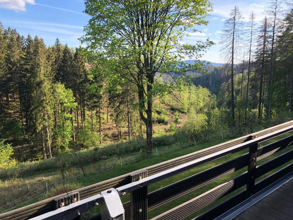a view of a forest from a bridge at Fewo Nartura: Modern – Idyllisch – stilvoll – ruhig in Sankt Andreasberg