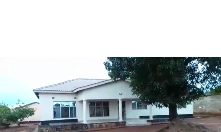 ein weißes Haus mit einem Baum davor in der Unterkunft Faigib Guest House in Chipata