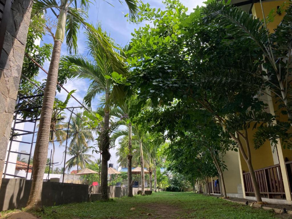 a row of palm trees in front of a building at Handagedara Resort & Spa in Mirissa