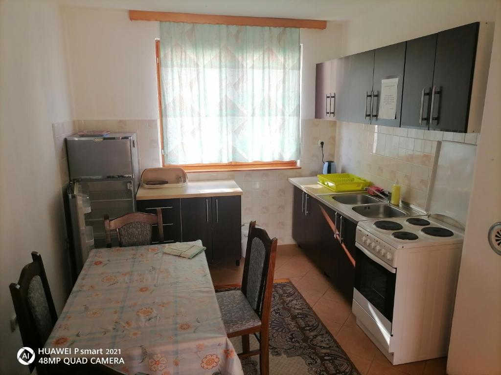 Kuchyň nebo kuchyňský kout v ubytování Guesthouse Behar
