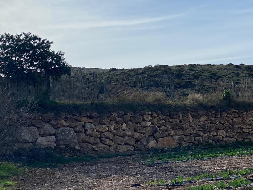 Suitetrails - Cortijo Rural Barranco la Higuera Aguamarga 7