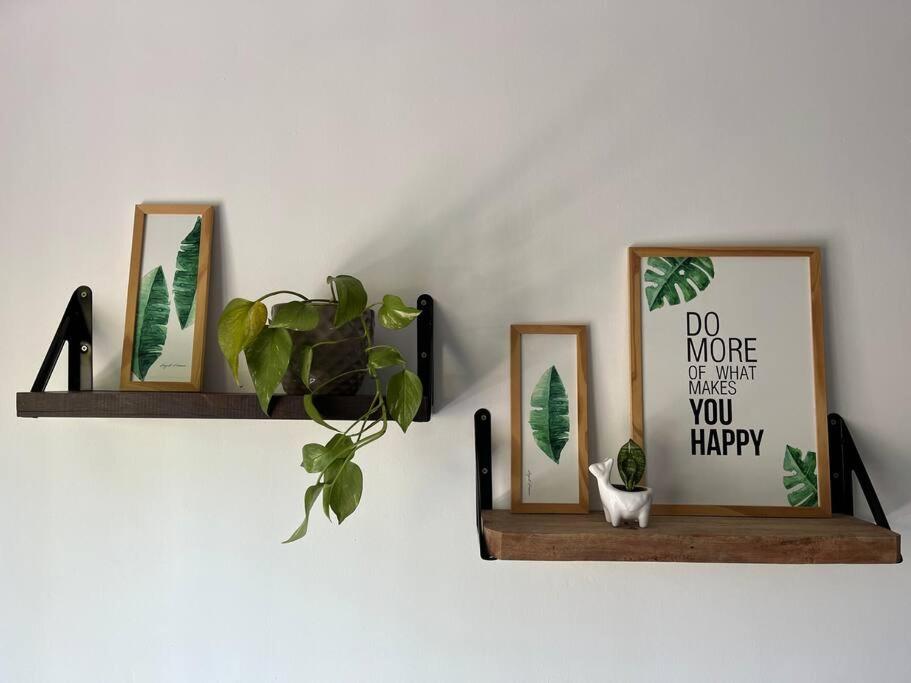 a shelf with three pictures and a plant on it at Departamento de 1 dormitorio. in Corrientes
