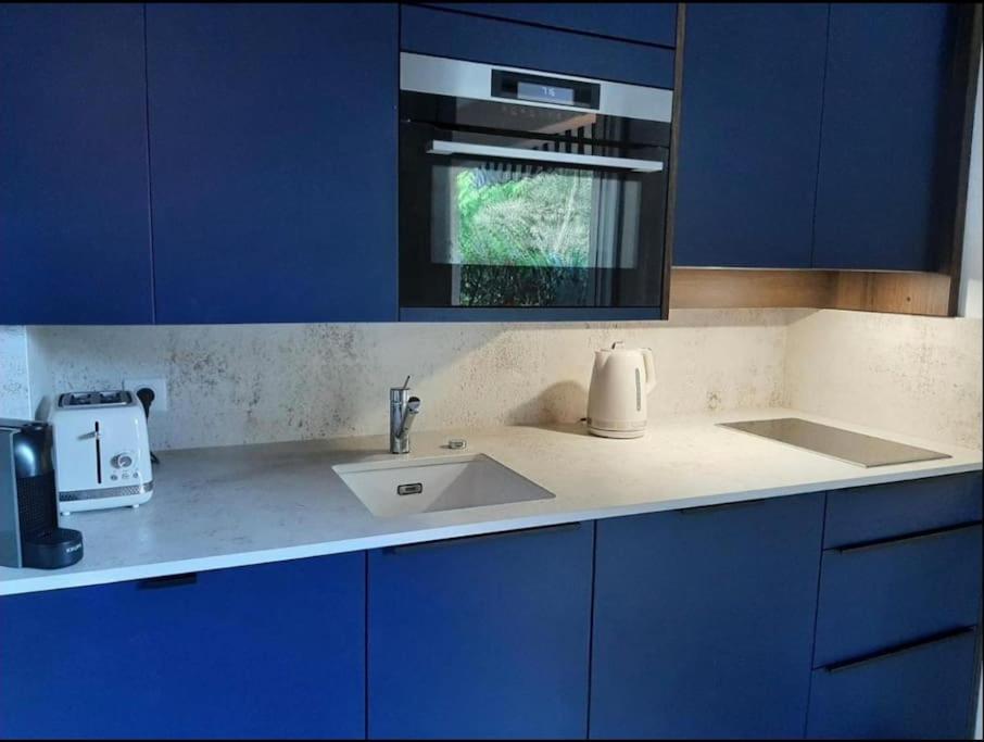 a kitchen counter with a sink and blue cabinets at Hossegor city in Soorts-Hossegor