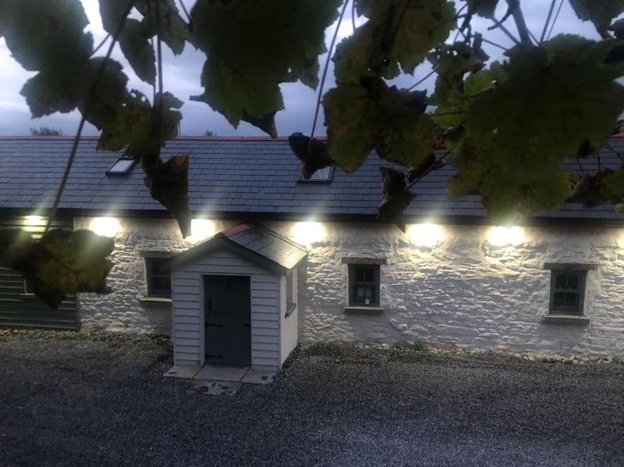 una casa de piedra con luces en el lateral. en Hopesgate Cottage - Roscrea, en Roscrea