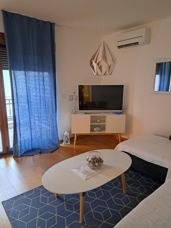 Televízia a/alebo spoločenská miestnosť v ubytovaní Apartman Blue
