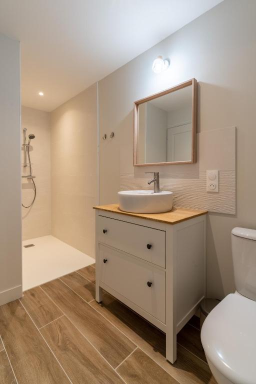 a bathroom with a sink and a toilet at L&#39;Orée du Faubourg - VENDOME CENTRE in Vendôme