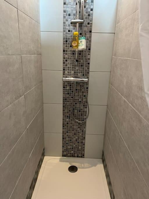 łazienka z prysznicem z głowicą prysznicową w obiekcie Magnifique loft 2-3 personnes tout confort w mieście Boulogne-sur-Mer