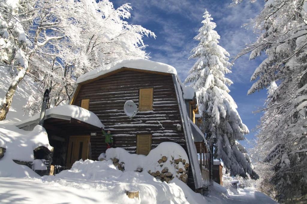 a cabin in the snow with snow covered trees at Chata Božena - Čertovica in Jarabá