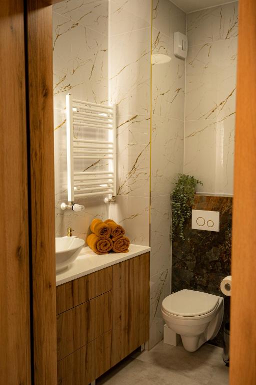 Kúpeľňa v ubytovaní Apartament Sobieskiego
