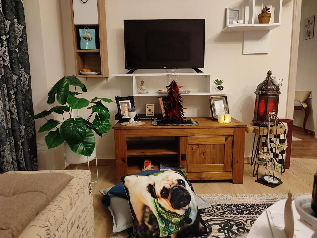 Mon Repos Paleopolis Cosy Apartment - Housity