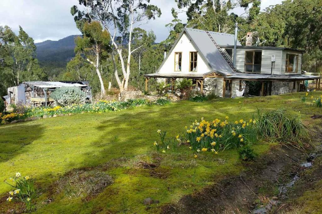 ein weißes Haus auf einem Feld mit Blumen in der Unterkunft The Stone Cottage - Bruny Island in Simpsons Bay