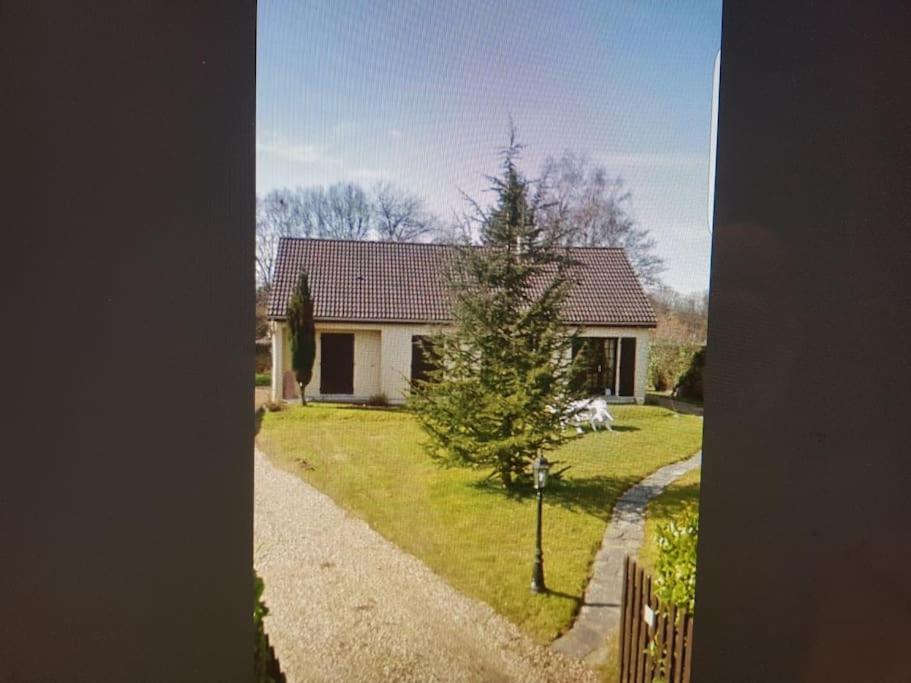 une maison blanche avec un arbre dans la cour dans l'établissement belle maison de campagne avec cheminée, 