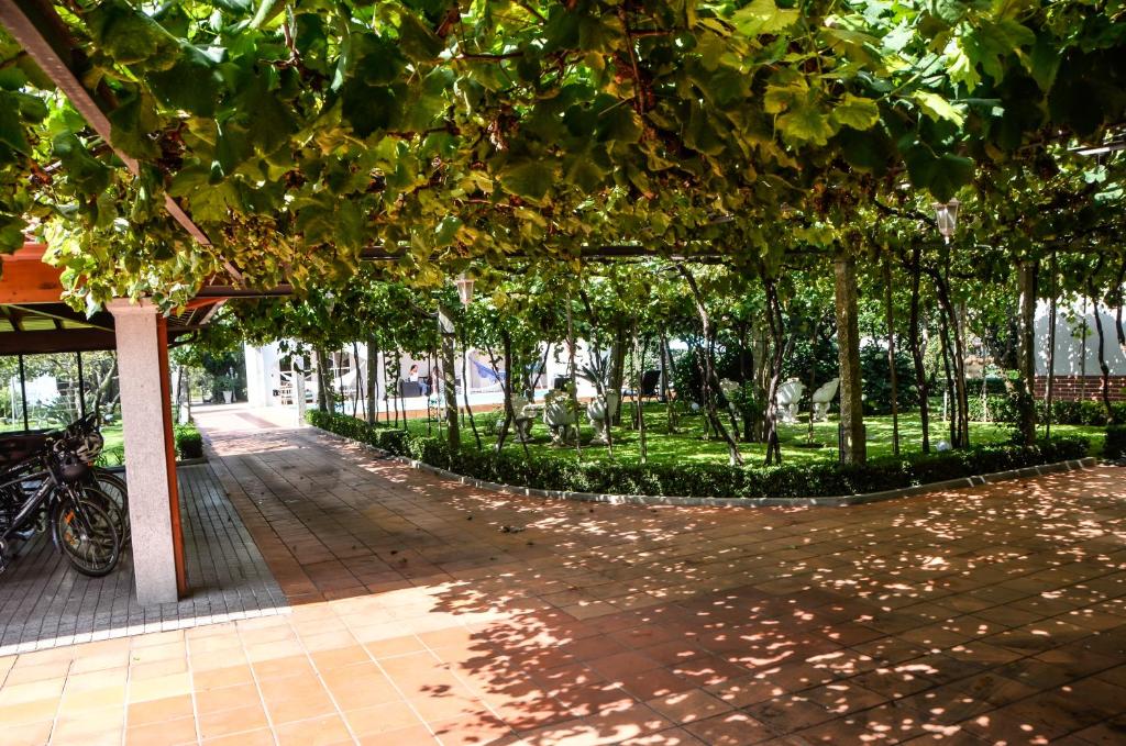Cavado River Walkway
