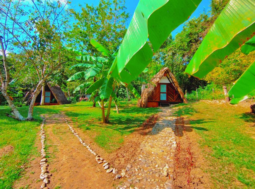 Jardí fora de Hotel Jasayma dentro del Parque Tayrona