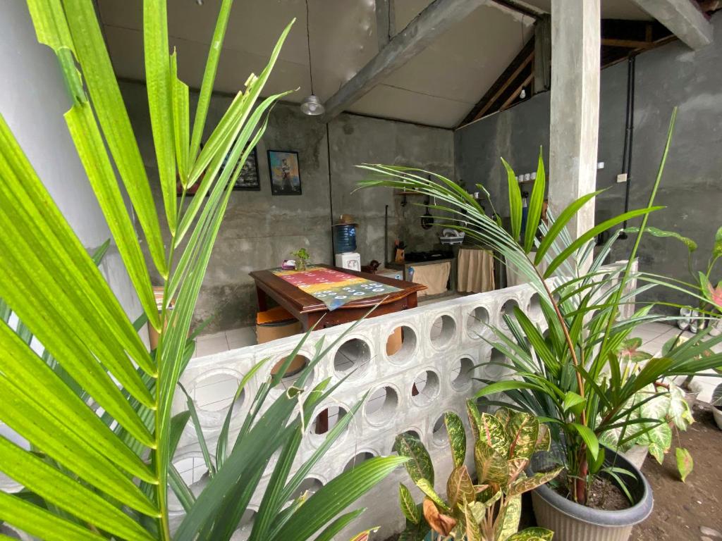 Zahrada ubytování Reeneo Guesthouse