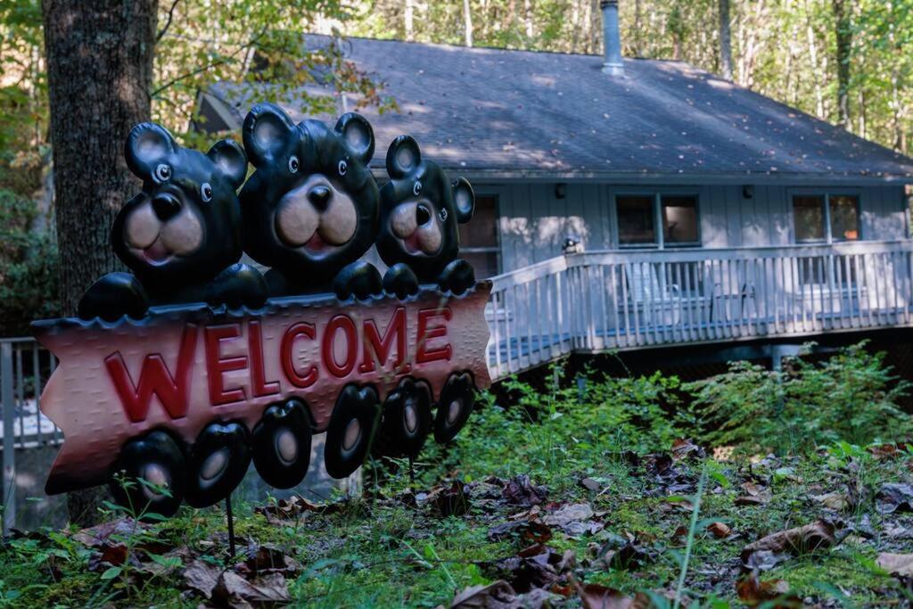 Misty Mountain Hop Cobbly Nob Cabin with HotTub, Fast WiFi, Privacy