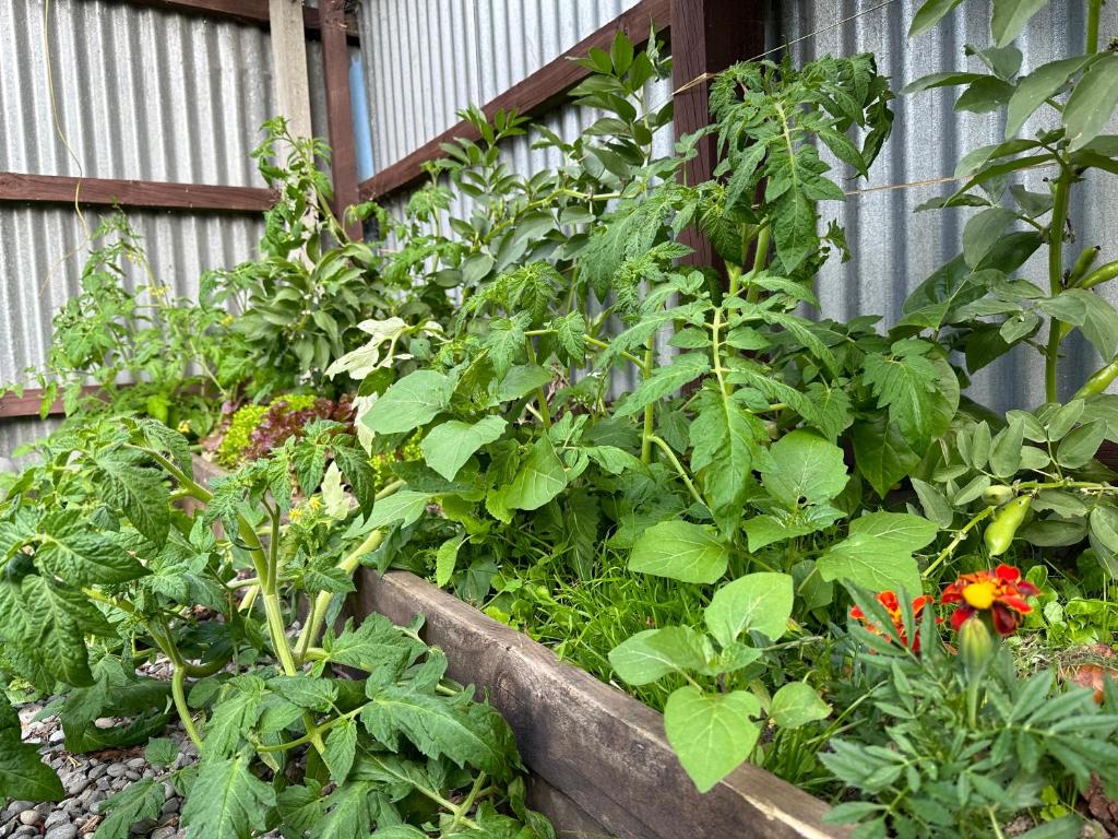 Around The World Backpackers - Resim 35