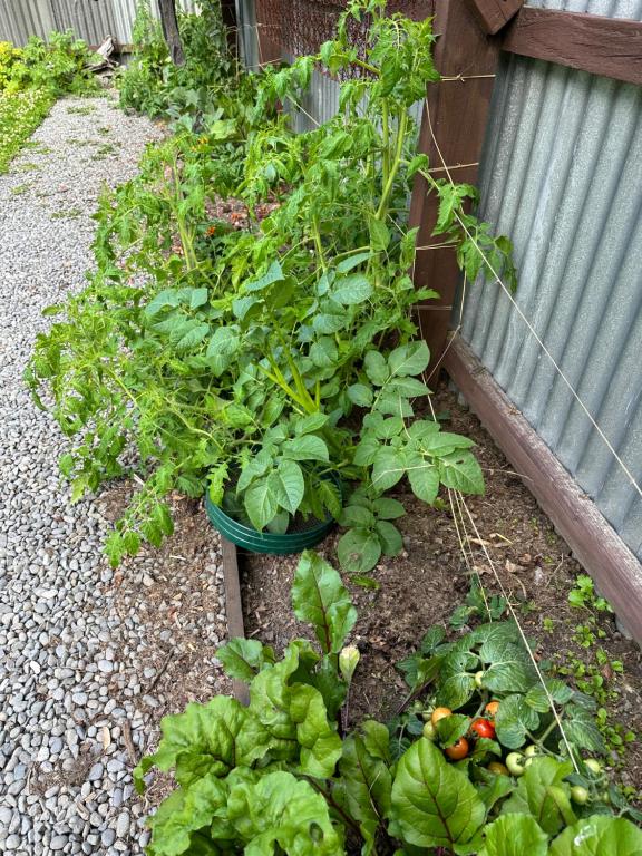 Around The World Backpackers - Resim 34