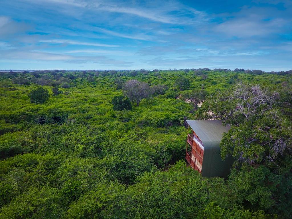 an aerial view of a train in the middle of a forest at Leopard Nest - Glamping in Yala in Yala