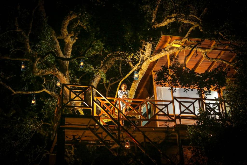a woman standing on a staircase in front of a tree at Leopard Nest - Glamping in Yala in Yala